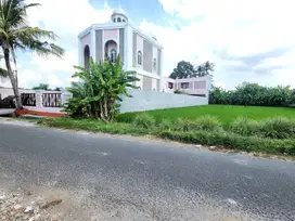 Tanah Murah Jogja 900 Meter Stadion Maguwoharjo