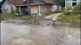 Sewa Gudang di Ciangir, Legok, Tangerang - Banten