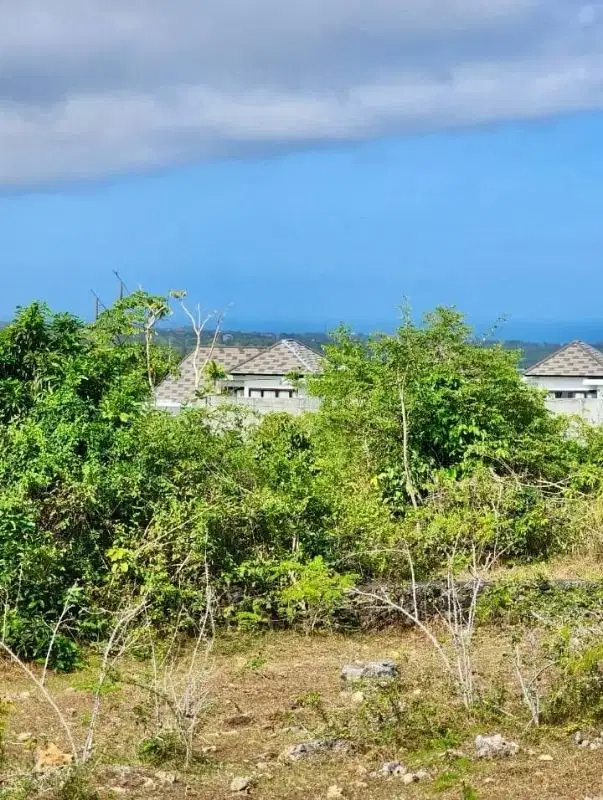 Tanah Ocean View Ungasan Badung Bali