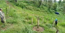 Dijual Kavling Leuwiliang Bogor Sangat Luas