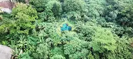 Jual Tanah Komersial di Jl. Gunung Maloko, Cisauk, Tangerang - Banten