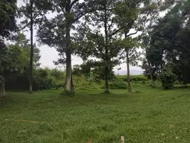 n984 Tanah 2625 m2 15jt/m2 Jl Mh Thamrin Sentul City Bogor