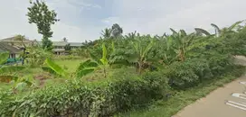 Tanah Dijual Cepat Di Jl. Bunar Saga, Balaraja, Tangerang