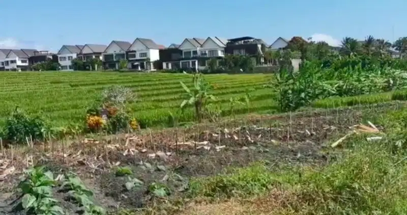 Tanah pantai cemagi bali