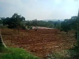 Dijual cepat tanah hamparan dataran tinggi di kabupaten cianjur.