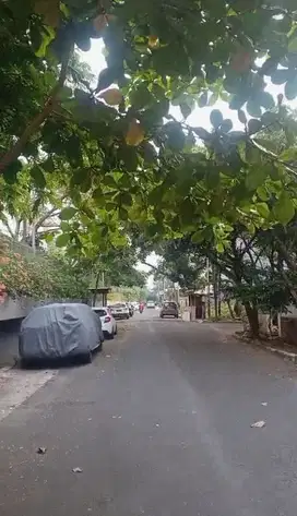 Rumah Kelapa Gading Jl Pelepah Lt 180