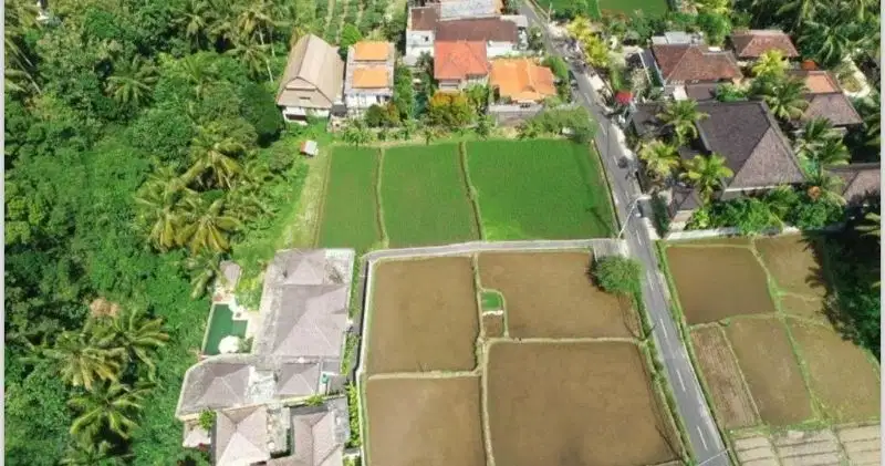 Tanah Tirta Tawar Junjungan Ubud Bali