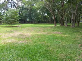 Dijual Kavling Bukit Golf View Golf Siap Bangun Bsd
