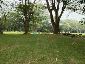 Dijual Kavling Bukit Golf BSD City, View Golf Court