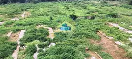 Jual Tanah Industri di Jl Pemuda, Gn Sindur, Bogor - Jawa Barat