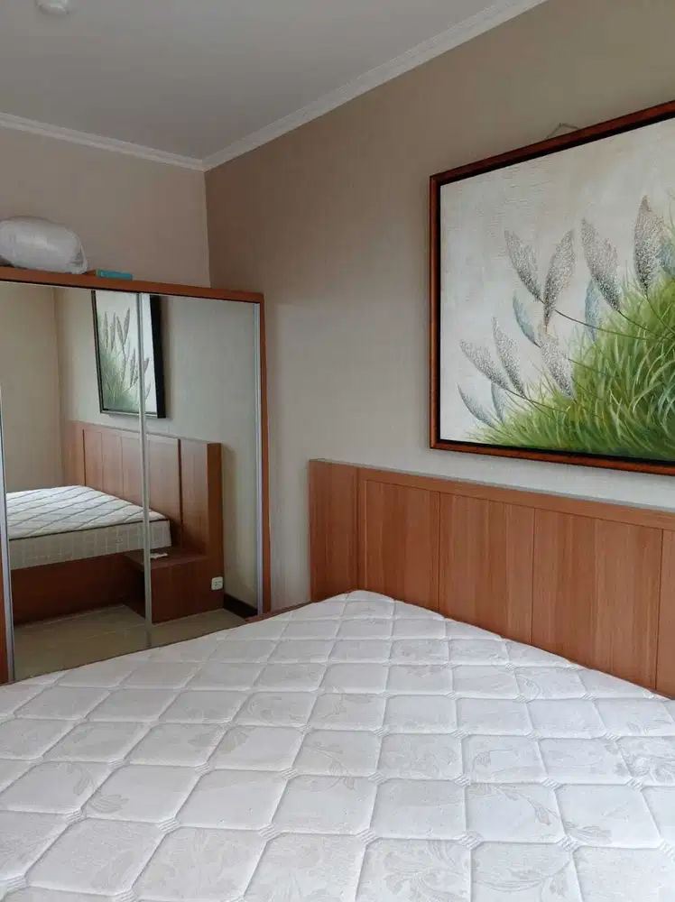 Apartemen Silkwood Tipe 1 Br Big Alam sutera Harga MENARIK