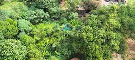 Jual Tanah Komersial di Mekarwangi, CisaukTangerang - Banten.