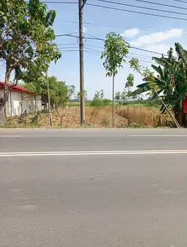 Dijual Tanah jalan raya di Menganti di Gersik