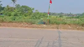 Jual Tanah di Jl Raya Kronjo - Balaraja, Kronjo, Tangerang