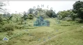 Jual Tanah Strategis di Jl Raya Diklat Pemda, Curug Wetan Tangerang