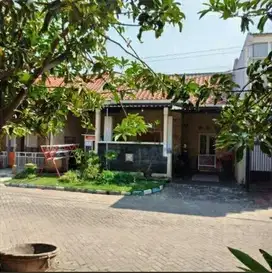 DIJUAL RUMAH PURI SURYA PASADENA DEKAT WARKOP