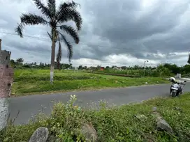 Tanah Pekarangan Yang Asri tepi jl aspal, di jl kaliurang km 10