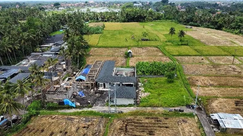 Land For Sale MURAH Luas 25,5 Are View Sawah & Kawasan Villa