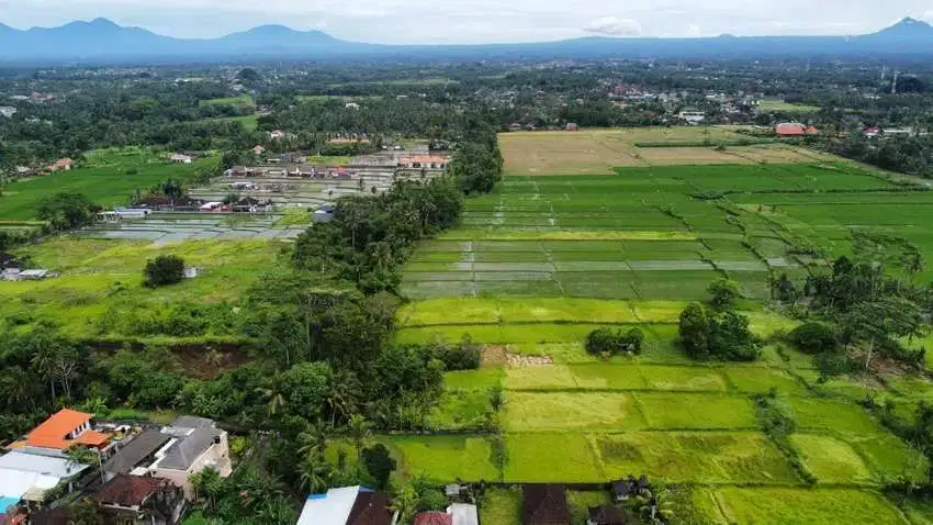 Dijual Tanah 3 are Murah di Lodtunduh Ubud Bali