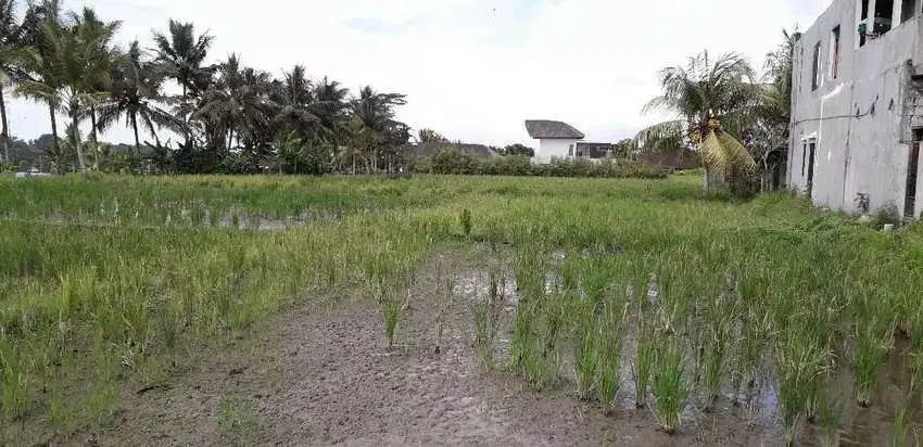 Dijual Tanah 29 are di Ubud Bali