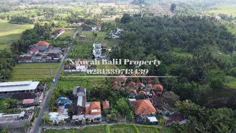 Land For Sale Murah Luas 200 m2 Lingkungan Villa di Ubud Bali