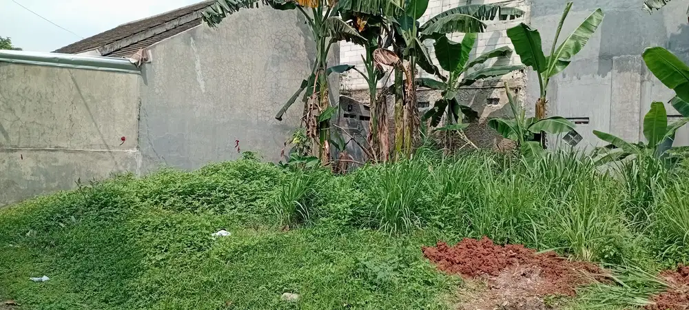 Tanah kawasan Gading Serpong siap bangun