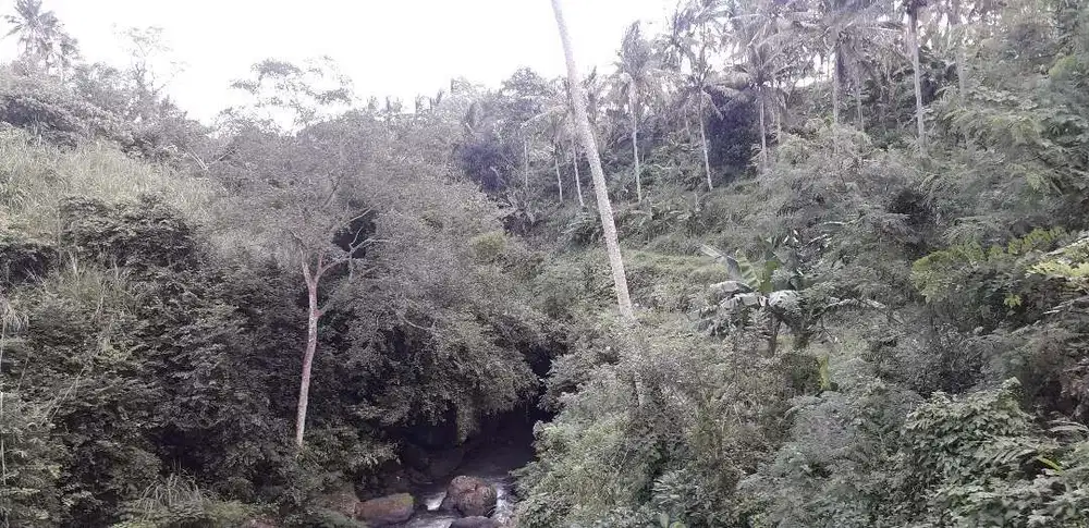 Land for Sale Murah 2,5 Hetar View Sungai di Ubud Bali