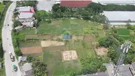 Jual Tanah di Jalan Raya Cikande-Rangkas Bitung, Serang, Banten