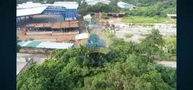Jual Tanah di Jalan Dandang, Cisauk - Tangerang, Banten