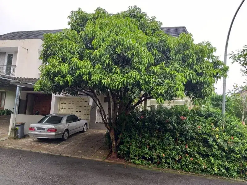 Dijual rumah kolam renang umum cluster Sentul city