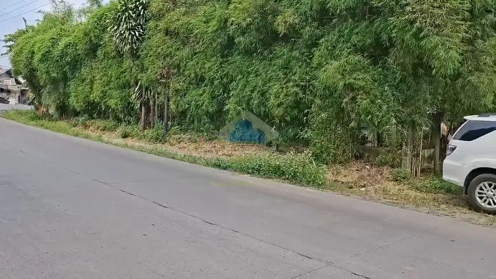 Jual Tanah di Jalan Raya Pemuda, Gunung Sindur, Bogor - Jawa Barat