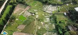 Jual Tanah Industri di Jl. Raya Pantura, Cikande,Serang - Banten