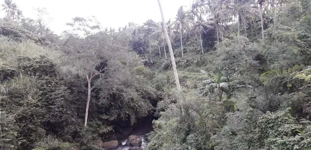 Land For Sale Luas 2,5 Hetar Sungai dan Tebing di Ubud