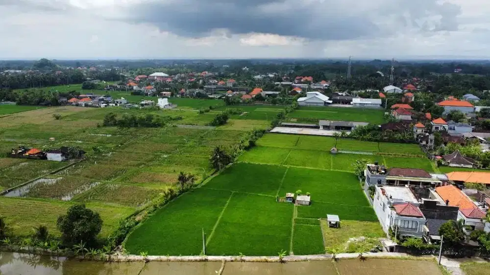 Tanah di Jual Lokasi Strategis Dengan View Persawahan di Ubud Bali
