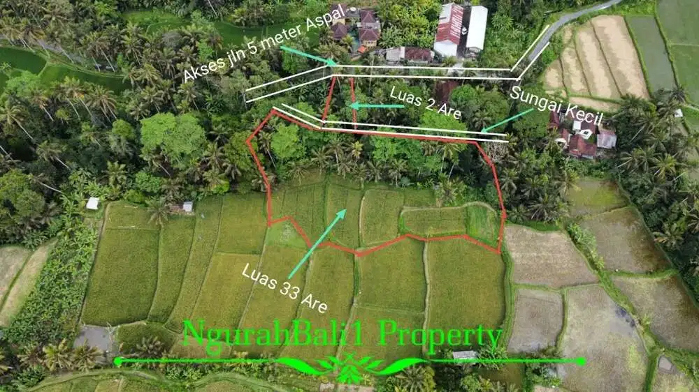 Tanah Di Pejeng Dengan View Cantik Persawahan,Sungai dan Pegunungan