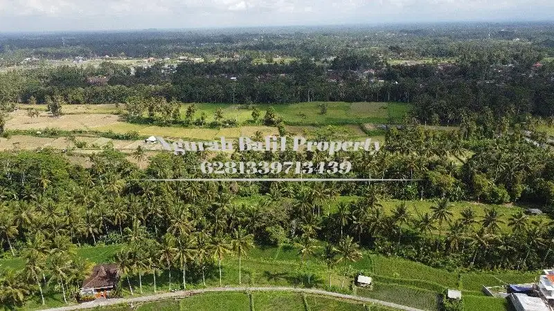 Land For Sale Luas  44 Are View Sungai, Sawah dan Hutan