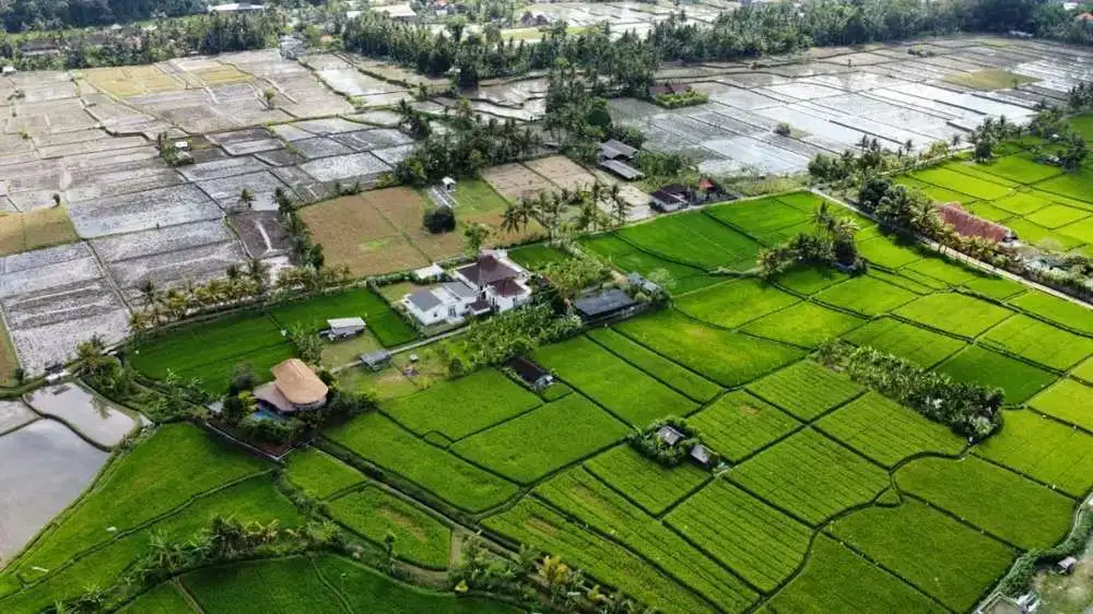 Dijual Tanah Murah di Singekerta Ubud View Sangat Cantik Persawahan
