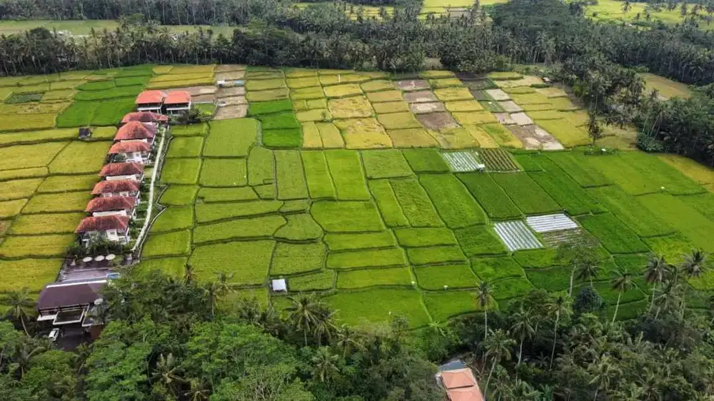 Dijual MURAH Tanah View Persawahan,Gunung Agung & Hutan Kecil