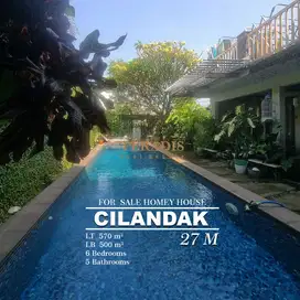 FOR SALE HOMEY HOUSE CILANDAK
