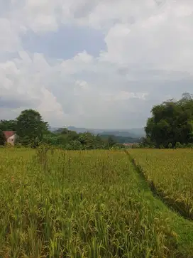 Dijual tanah kawasan purwakarta cocok untuk pergudangan