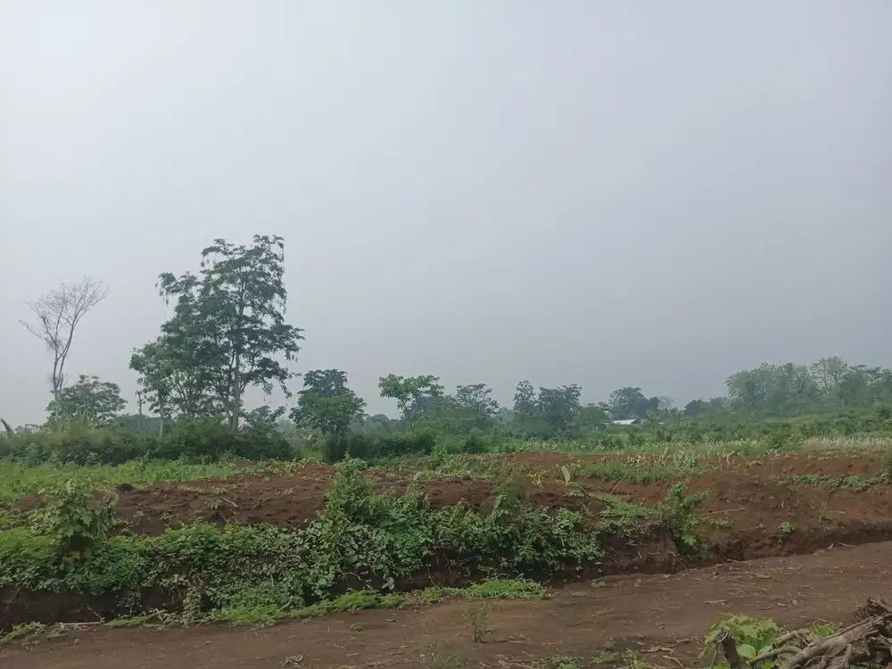 Tanah Kavling 3 Menit Dari UIN Malang