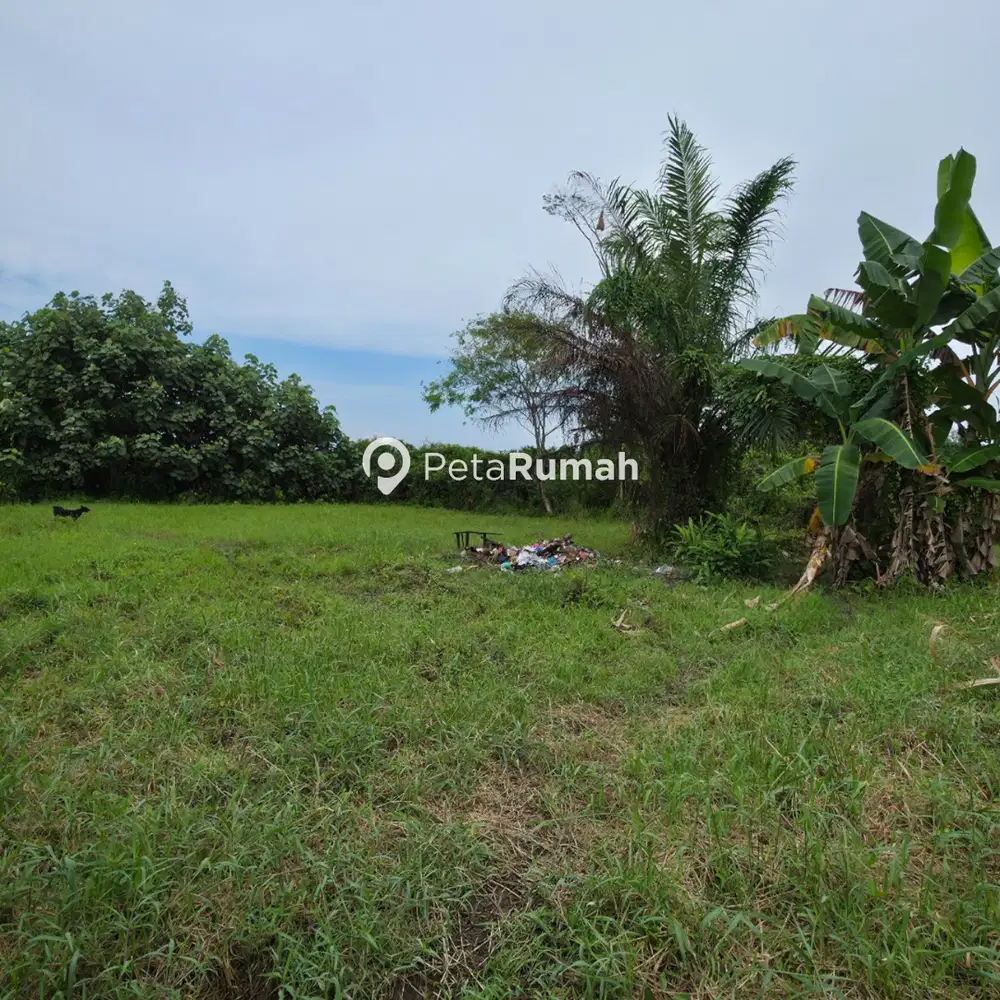 DIJUAL TANAH JALAN FLAMBOYAN IIA (meiky)