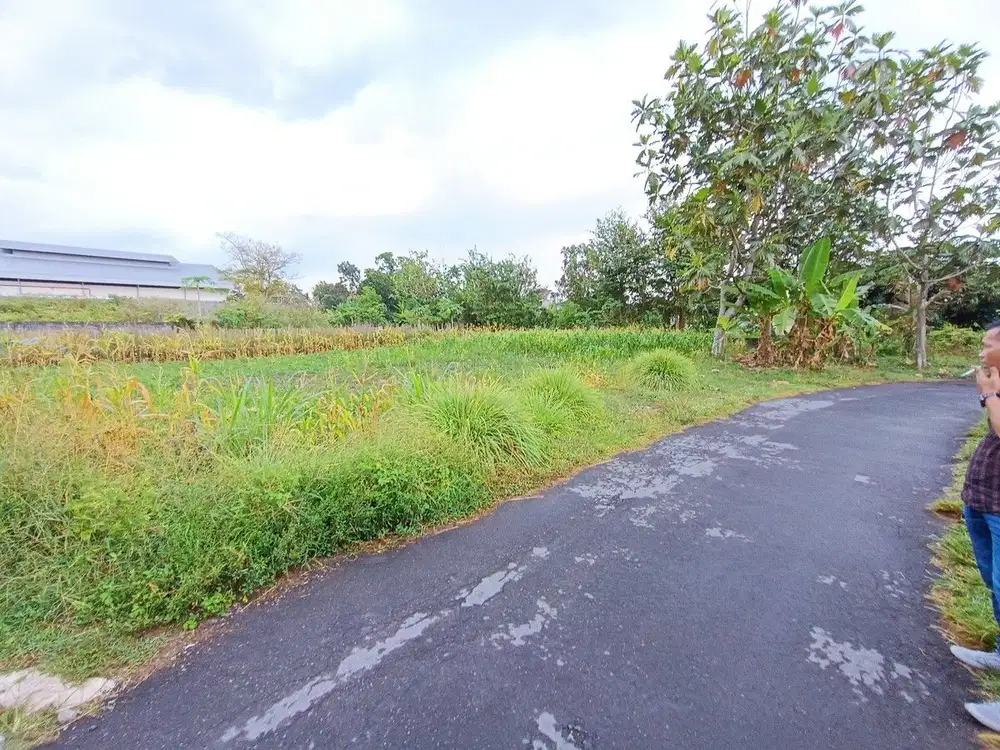 Tanah di Jl Palagan KM 10 Dekat Pasar Rejodani