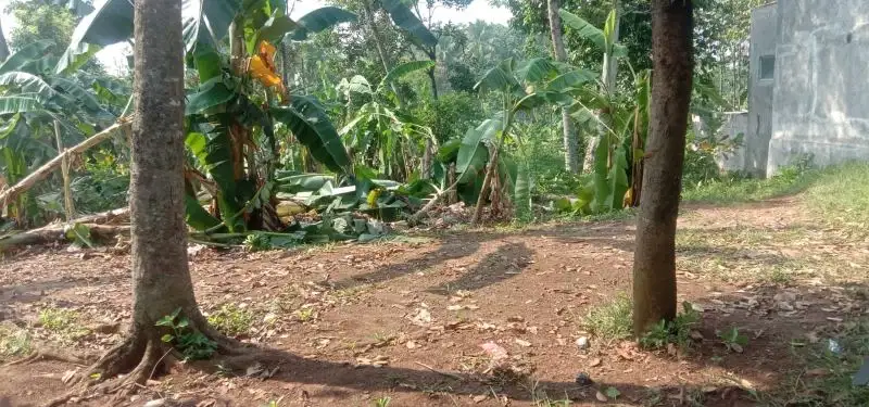 Dijual tanah dillokasi bagus gunung sindur