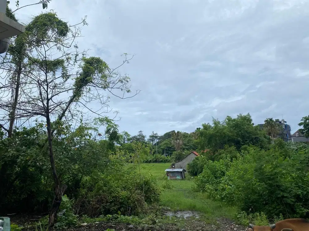 Tanah Akses Ke Pantai Berawa Canggu
