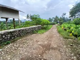 Tanah Murah Pakis Cocok Untuk Hunian 3 Menit Pasar Pakis Malang