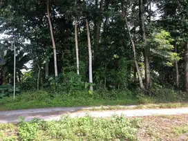 Kavling Kos Premium 900m UII-SHM