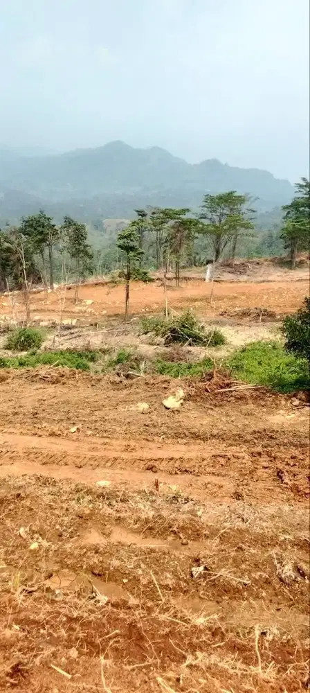Jual Tanah Ketinggian 500 MDPL Udara Sejuk Bebas Polusi Deket jakarta
