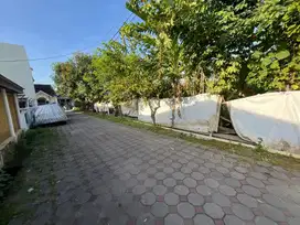 Dekat Tugu Jogja Tanah di Nogotirto