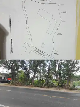 ‼️JUAL CEPAT‼️TANAH SIDAYU GRESIK COCOK BUAT PABRIK ATAU PERGUDANGAN